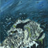 Chatterstanes II