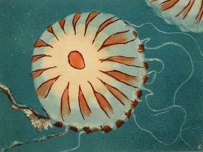 Compass Jellyfish
