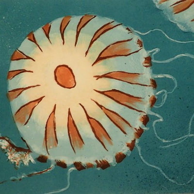 Compass Jellyfish