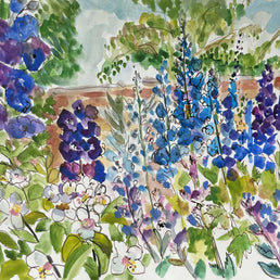 Delphiniums by Garden Wall