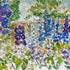 Delphiniums by Garden Wall