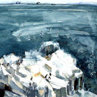 End of Seabird Season