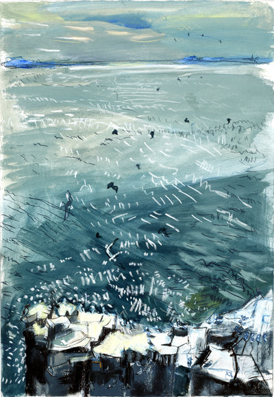 Kittiwakes Preparing to Leave