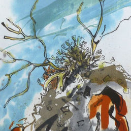 Spider Crab, Thurlestone