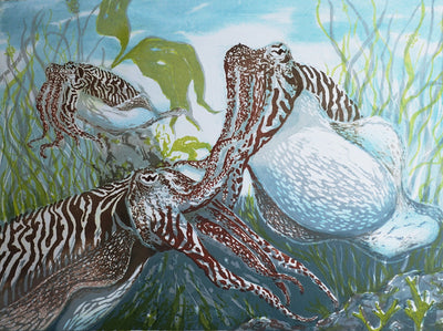 The Cunning Cuttlefish