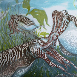 The Cunning Cuttlefish