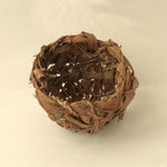 Willow Cropped by Anna Corbett