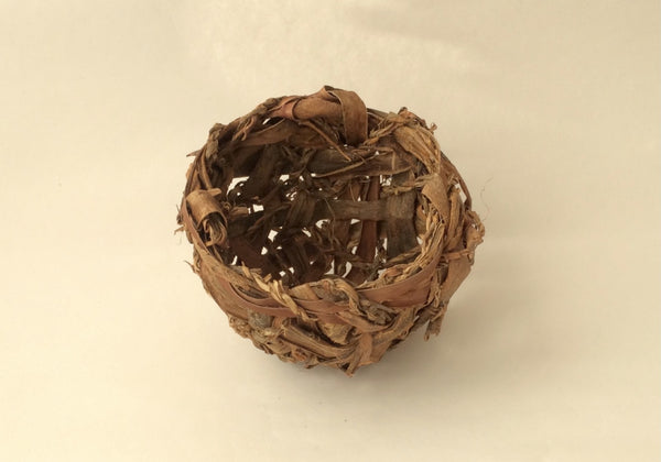 Willow Cropped by Anna Corbett