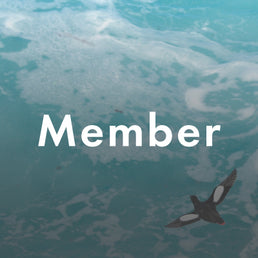 Annual Conference (Resident)