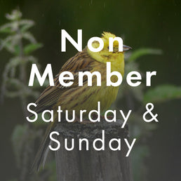 Annual Conference (Non-Resident)