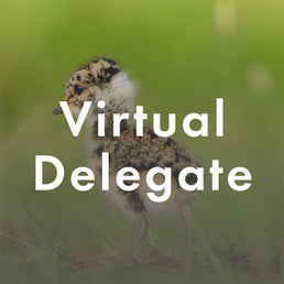 Annual Conference (Virtual)